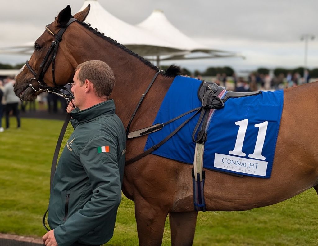 Racehorse with Connacht Hotel Number Cloth – A well-groomed racehorse wearing a blue saddle cloth with "Connacht Hotel" branding and the number 11, led by a handler in an Irish flag-branded jacket, reinforcing the hotel’s sponsorship in horse racing.